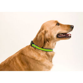 Collar Muttley AZUL